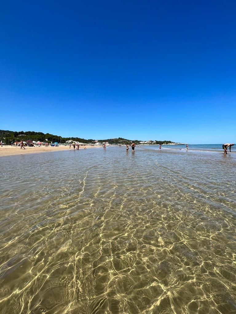 Appartamenti Le Porte Del Gargano 维耶斯泰 外观 照片